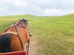 -塞罕坝国家级自然保护区