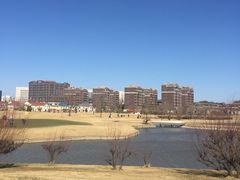 -滨海湖高尔夫球会