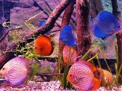 -上海海洋水族馆