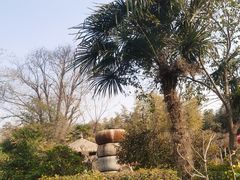 -西安国际创新人才交流中心•药浴温泉
