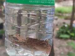 -碓臼峪自然风景区