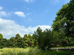 -桤木河湿地公园