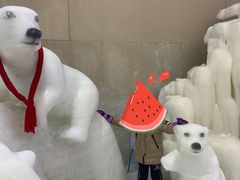 -宁波冰雪大世界(北仑区)