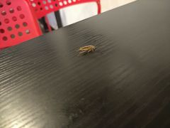-卤煮老北京酱肉馆