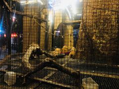 -五邑人家(江门店)