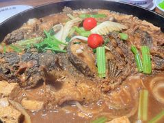 -老板恋上鱼(恒隆广场店)