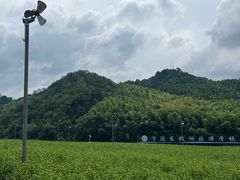 -东钱湖旅游度假区