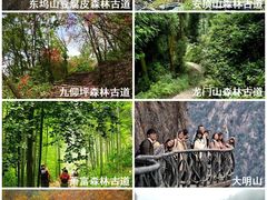 -大奇山国家森林公园