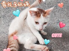 -麓湖高尔夫球俱乐部