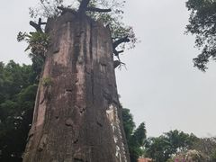 景点-青青世界