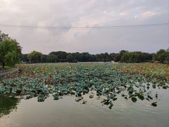 -石湖景区