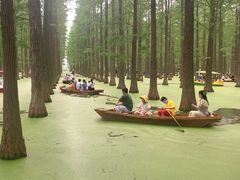-渌洋湖湿地公园