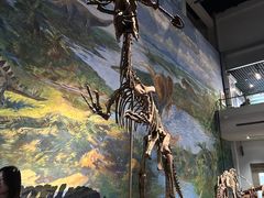 -自贡恐龙博物馆