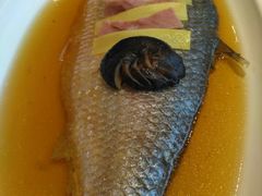 老酒蒸鲥鱼-望乡楼上海菜(日月光店)