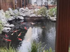 -鲤院·新中式美学·庭院餐厅(夫子庙店)