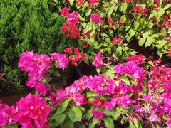 -武汉马哥孛罗酒店