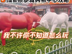 -成都银泰城