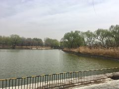 -顺鑫绿色度假村