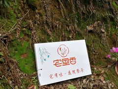 -宅里香.自然餐厅(湘大店)
