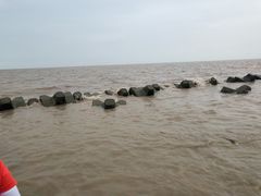 -南汇嘴观海公园