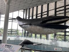 -中国（海南）南海博物馆