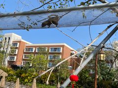 -珠海海泉湾神秘岛亲子乐园