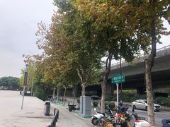 -紫荆广场·花漫里