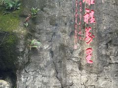 -大雁山风景区