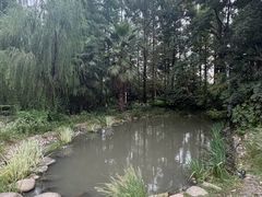 -苏州河梦清园环保主题公园