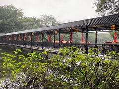 -侨美·唐荔园·40年地道粤菜