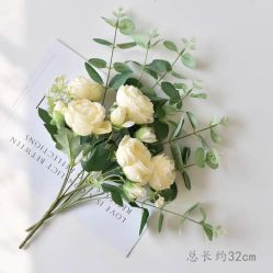 -小梨·OndaPro·专业脱毛连锁机构