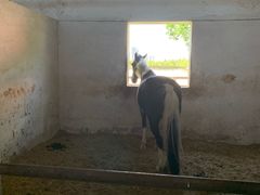 -松声马术俱乐部