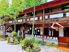 -青城甲(青城山店)