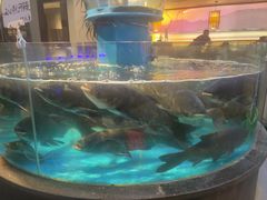 -魏铭鱼头捞饭(晋阳路店)