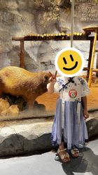 -Zoolung Zoolung动物主题公园(海信广场店)