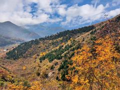 -百里山水画廊乌龙峡谷