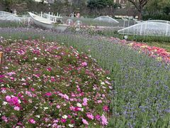 -龙环葡韵住宅式博物馆