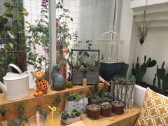 -拾壹cafe·工作室