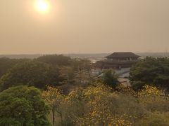 -大湾区中央湿地公园