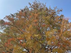 -上海大学(宝山校区)