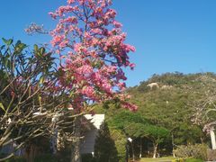 -厦门国家会计学院