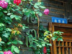 -巡塘古镇