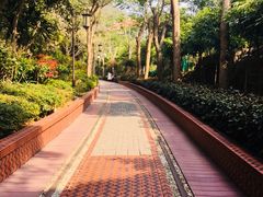 -铁路文化公园