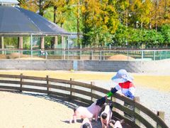 -前小桔亲子创意农场·草莓采摘·露营烧烤