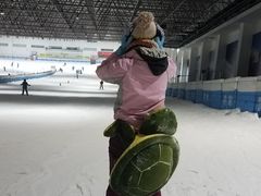 -绍兴启迪乔波冰雪世界