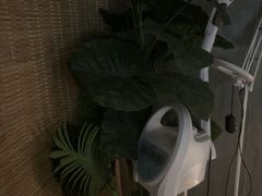 -施奈儿.洗头頭療.按摩SPA.采耳(上梅林店)