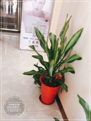 -尚艺造型.剪烫染.接发