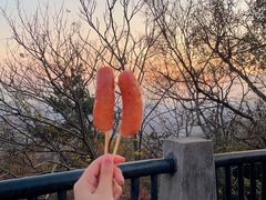 -紫金山山顶公园