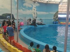 -尼莫海豚馆