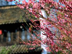 -南京民俗博物馆(甘熙故居)